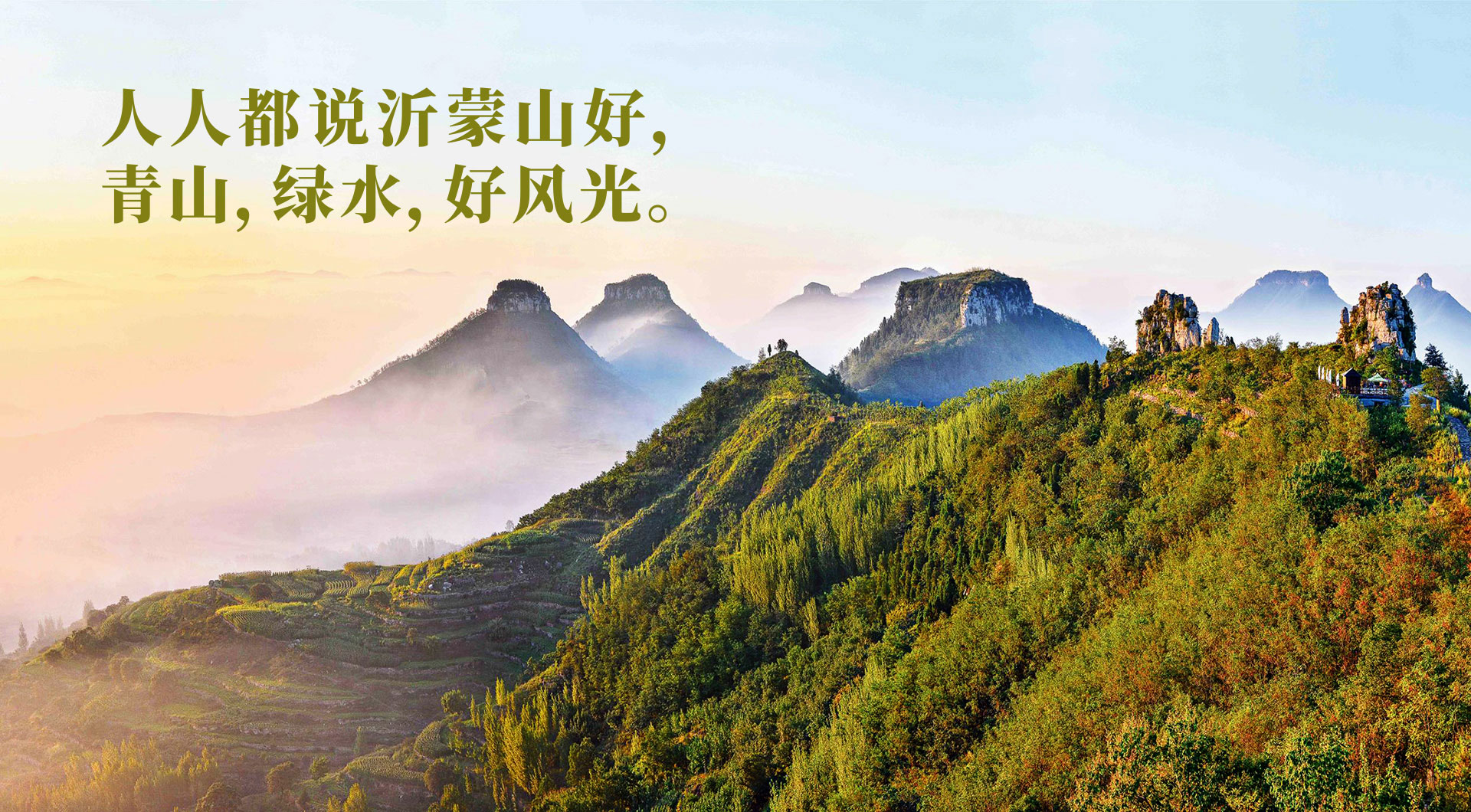金银花包装设计公司,金银花营销策划设计,中草药礼盒包装设计,金银花包装盒设计,金银花包装袋设计