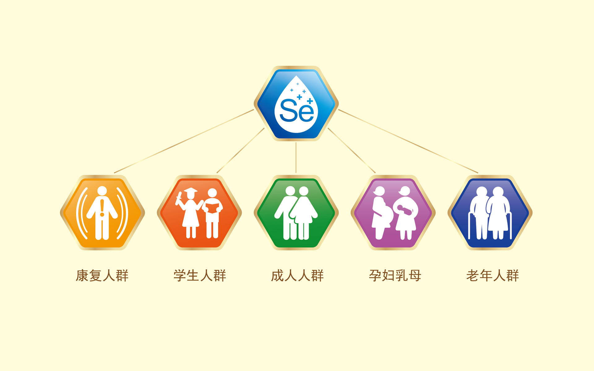 保健品包装设计公司,上海保健品包装设计,营养滋补品包装设计公司,医药包装设计设计公司