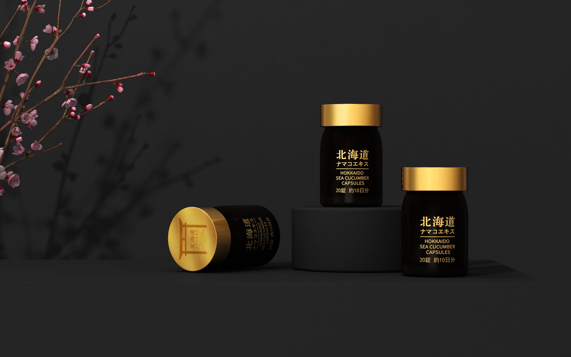 海参保健品营销策划,海参滋补品营销策划,辽参营销策划包装设计公司,保健食品品牌策划设计,高端营养品营销策划包装设计